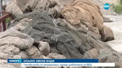 Опасно ниски нива на водата в яз. "Кърджали", тонове риба са застрашени