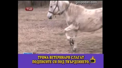 Кобилка за продан