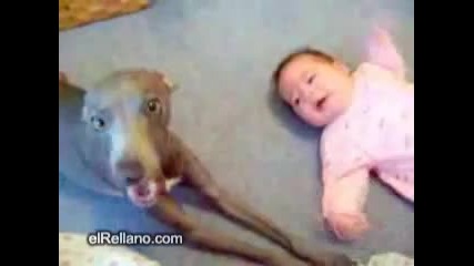 Бебе и куче плачат 