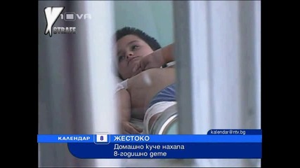 Домашно куче нахапа жестоко 8-годишно дете