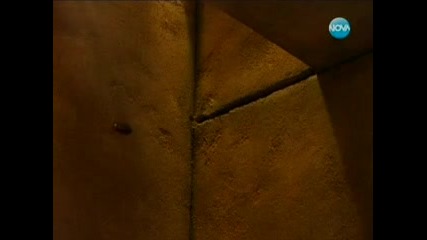 Съкровището на малките приятели - Бг аудио - (добро качество) част 2 (2012)
