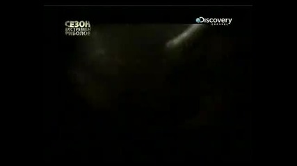 Discovery channel River monsters Congo killer bg audio 3 