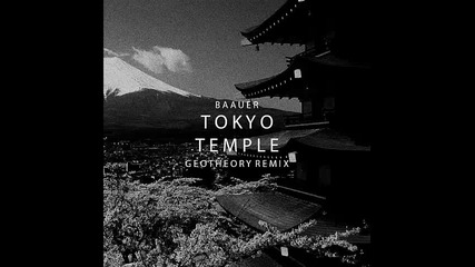 *2015* Baauer - Tokyo Temple ( Geotheory remix )