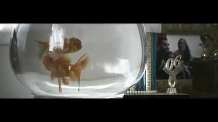 Maroon 5 - One More Night Official Video