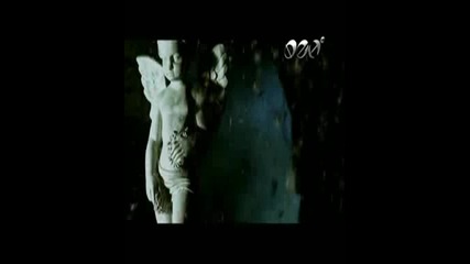 Veronika - Lo6 navik