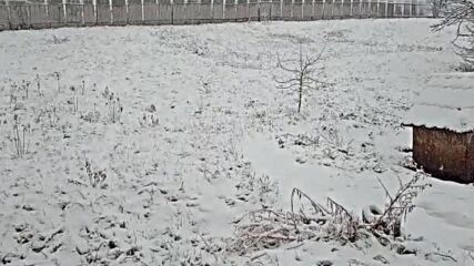 "Моята новина": Зимна приказка е в Перник
