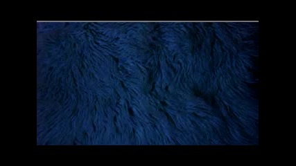 Seabear - Hands Remember