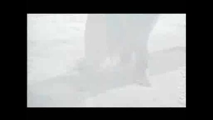 Cradle of Filth - Her Ghost in the Fog
