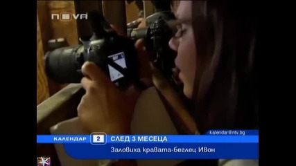 Залавянето на кравата Ивон след 3 месеца