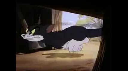 Tom and Jerry Episode 8 