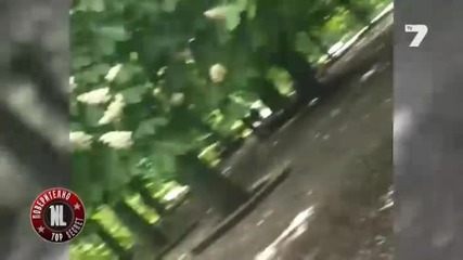 Тервел Пулев – най-добрият татко