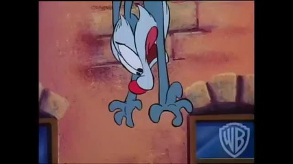 Tiny Toons 