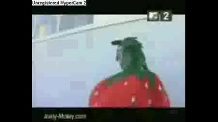 Billy Martin ((fan Video))