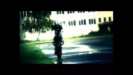 Stunt Show