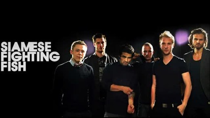 (2012) Siamese Fighting Fish - Crap Is The New Black