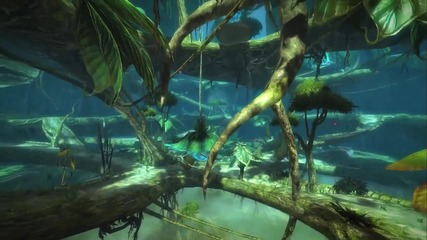 Guild Wars 2 - Growing the Sylvari