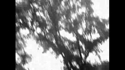 The Album Leaf - Over The Pond