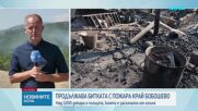 Продължава битката с пожара край Бобошево