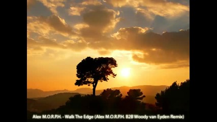 Alex Morph - Walk The Edge ( Morph Woody van Eyden Remix) 