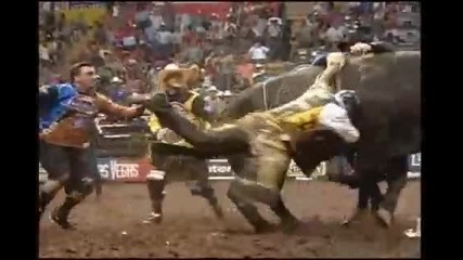Chihuahua Worst Wreck Mike Lee Vs Navasota 