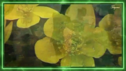 Valys Vesnы saksofon Spring Waltz saxophone - Vals
