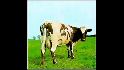 pink floyd ~ fathers shout 
