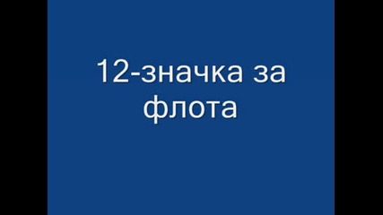 Боини Отличителни Знаци На Вониците От Третия Раих.wmv