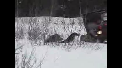 Atv Със Вириги