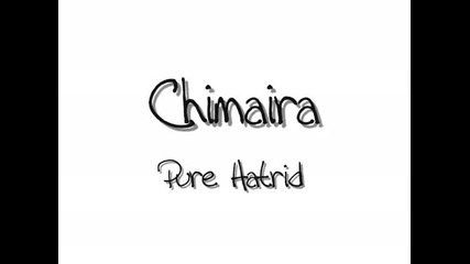 Chimaira Pure Hatred