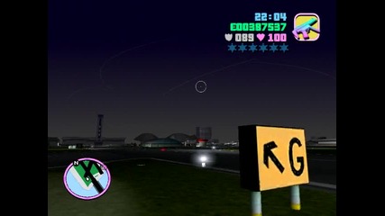 Gta Vice City
