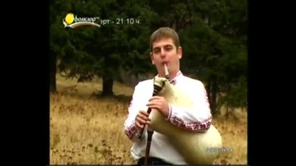инструментална груп лира - малка мома