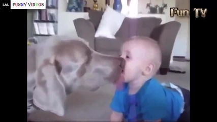 Компилация Смях ! Funny Videos animals 2015