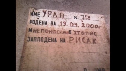 na werifa resacite ot bohot