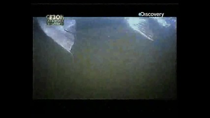 Discovery channel - River monsters (hidden predator) bg audio - 1 