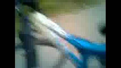 Bachinito i Reactora