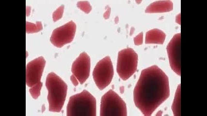 Ichigos Revenge 
