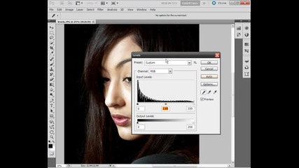 Photoshop Top Lessons - 13. Using Levels