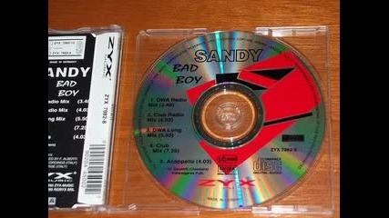 Sandy - Bad Boy (1995)