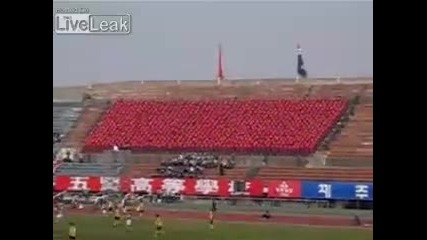 Тези са като Lcd телевизор 