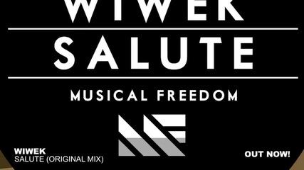 Wiwek - Salute ( Original Mix )
