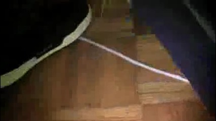 Pussy In A Bag 