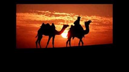 dj Nickodemus - Desert Dancer (zebs Slow Camel Ride Remix)
