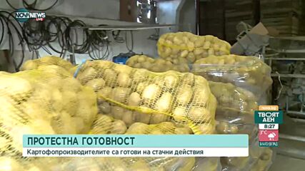Картофопроизводителите в стачна готовност заради спрени субсидии