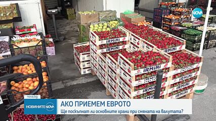 Ще поскъпнат ли основните храни при приемане на единната валута?