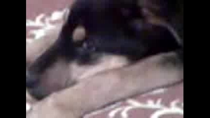 Mov00001.3gp