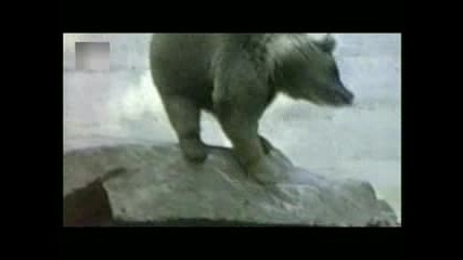 Една Голяма Порция Смях!!!!