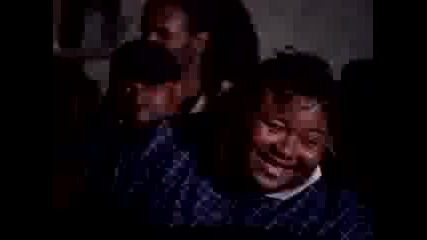Patra - Dip Fall Back