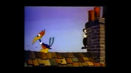 Woody Woodpecker - Knock Knock