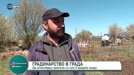 Граждани произвеждат зеленчуци в близост до блоковете си