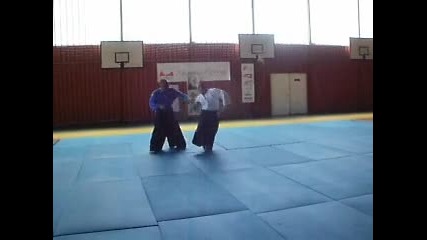 Real Aikido - Valeri Vasilev 